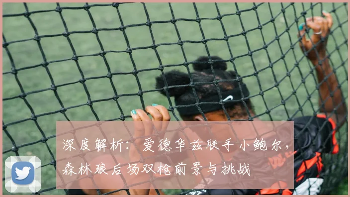 深度解析：爱德华兹联手小鲍尔，森林狼后场双枪前景与挑战