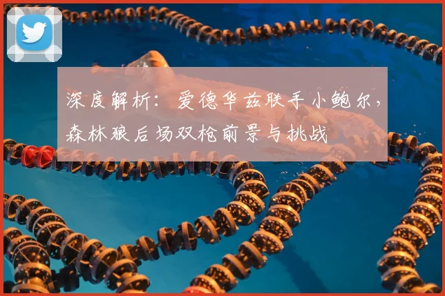 深度解析：爱德华兹联手小鲍尔，森林狼后场双枪前景与挑战
